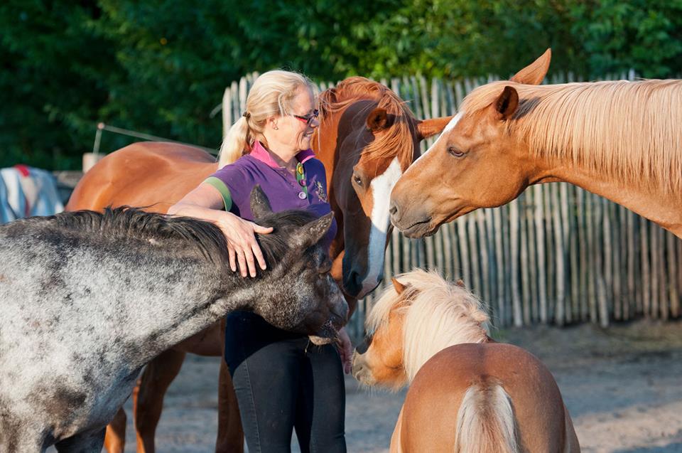 Paarden in een natuurlijke omgeving